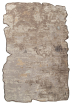 Amorf Oyster Shell 13