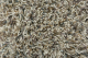 Jazz Lush Storm 158728