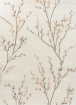 Pussy Willow Dove Grey 079804
