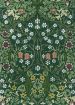 Blackthorn Tump 428507