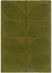 Solid Stem Fern 158307