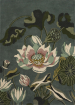 Waterlily Midnight Pond 38608