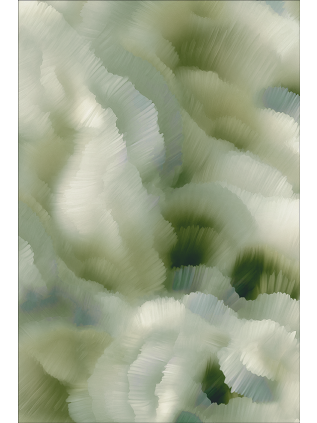 Flitter Flutter Adonis