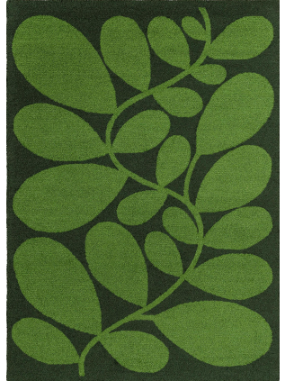 Sycamore Dill 464207