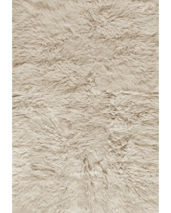 Shaggy Oatmeal